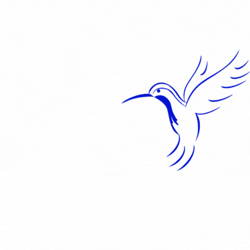 ICONOS WEB PRÁXIS(4).gif