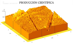 PRODUCCIÓN CIENTÍFICA