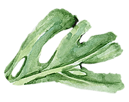 잎