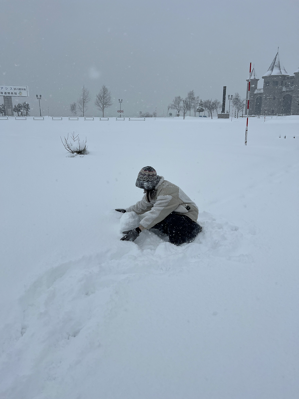 雪❄