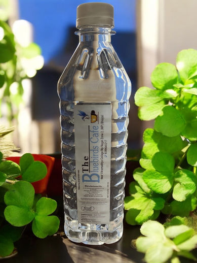 Badoit natural sparkling mineral water bottle among vibrant green plants.