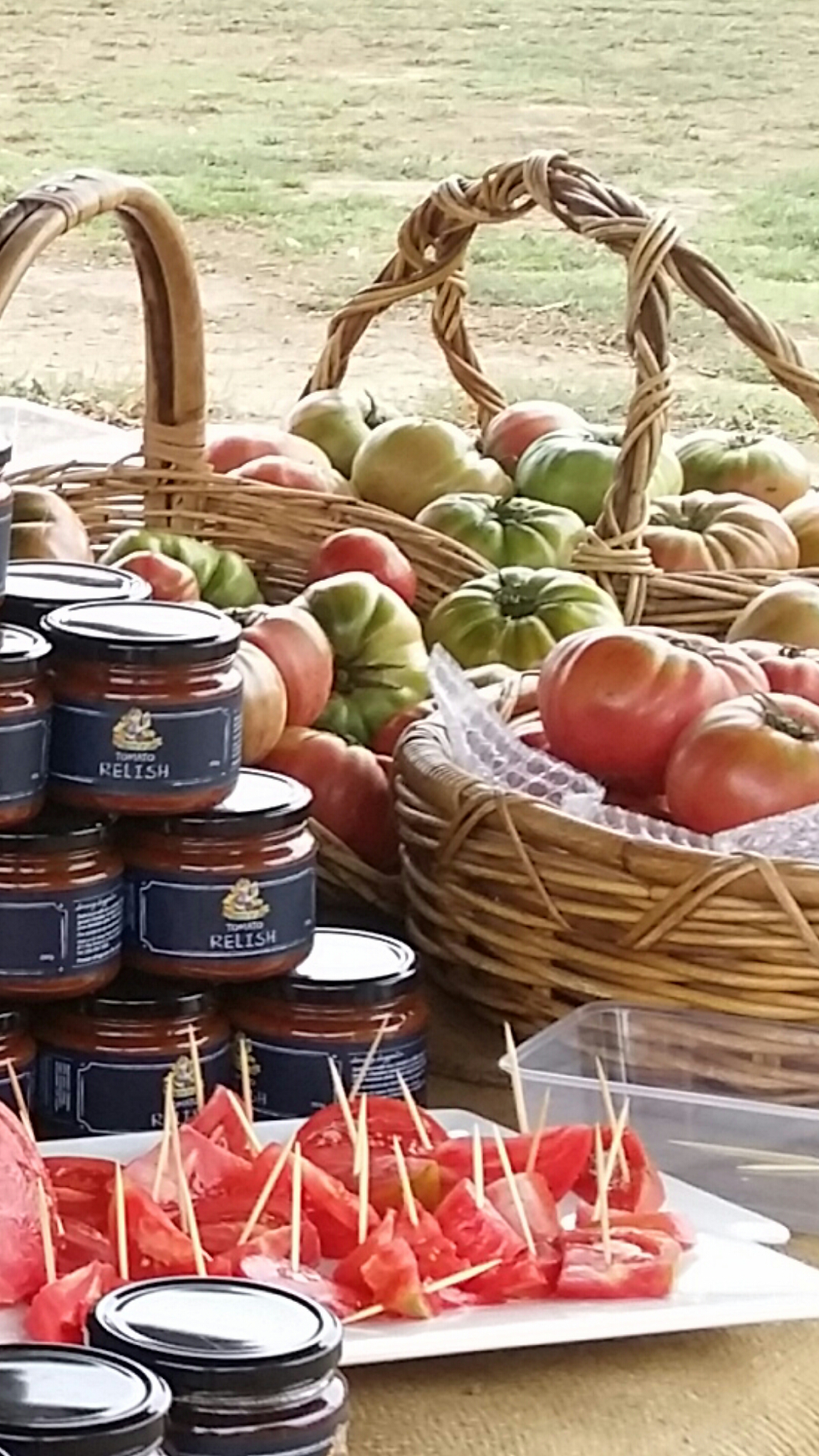 GP Toms, samples and relish tasting