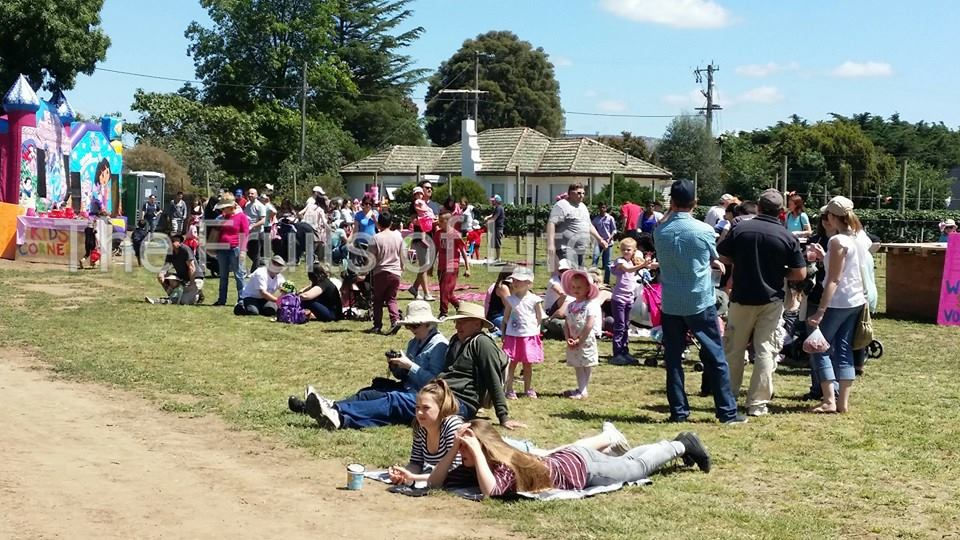 Pull up a patch of grass