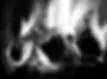 three burning billets in hot stove_edited.webp