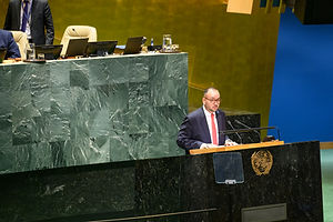UN71007115__LF11315_.jpg