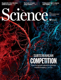 science.2020.370.issue-6521.largecover.jpeg