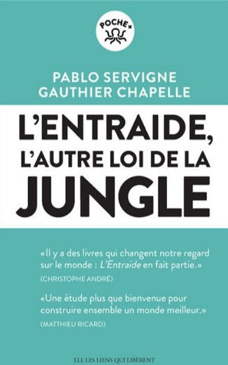 L'entraide en entreprise, c'est responsable ?