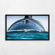 Michel bassompierre - Galeries d'art PromenArts.jpg