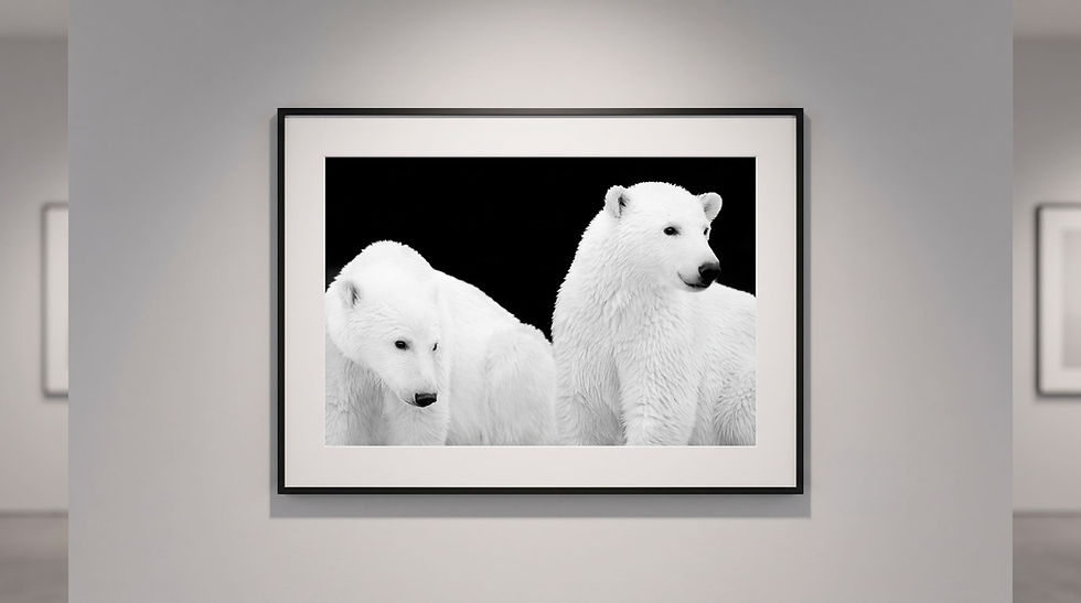 7_ KYRIAKOS KAZIRAS - GALERIES D'ART PROMENARTS.jpg