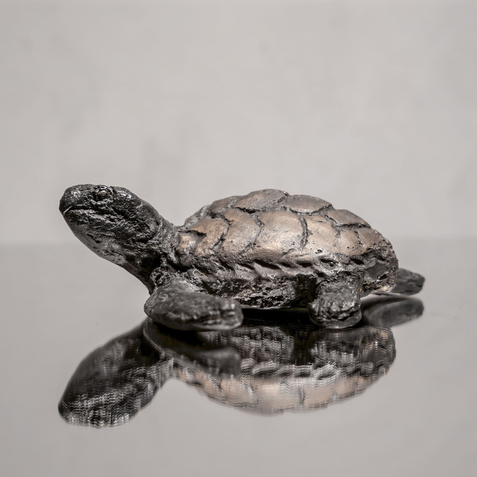 Joanna HAIR - BÉBÉ TORTUE MARINE I