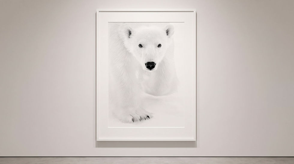 4_ KYRIAKOS KAZIRAS - GALERIES D'ART PROMENARTS.jpg