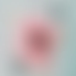 Update: Stationery Sunday Posts