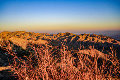 Jun 2024
Joshua Tree, CA, USA