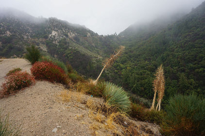 Oct 2025
Angeles National Forest
Series Work