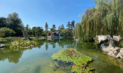 Aug 2021
Huntington Library Park
Series Work