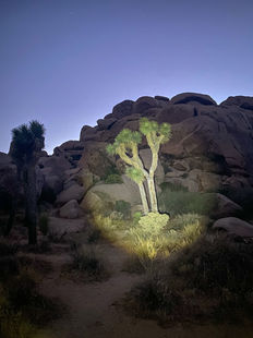 Jun 2024
Joshua Tree, CA, USA