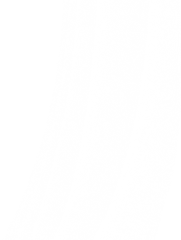 Transparant White.png