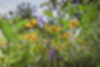 jane_and_her_beautiful_garden_finals_soul_shine_photography-9128.jpg