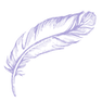 Untitled design (29).png