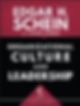 Book cover -organizational culture and leadership