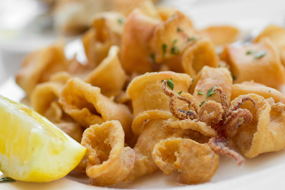 Fried Calamari Appetizer