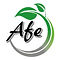 logo afe.jpg