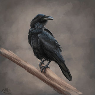 Raven
