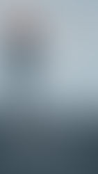 2025年3月14〜16日癒やしと預言の集会