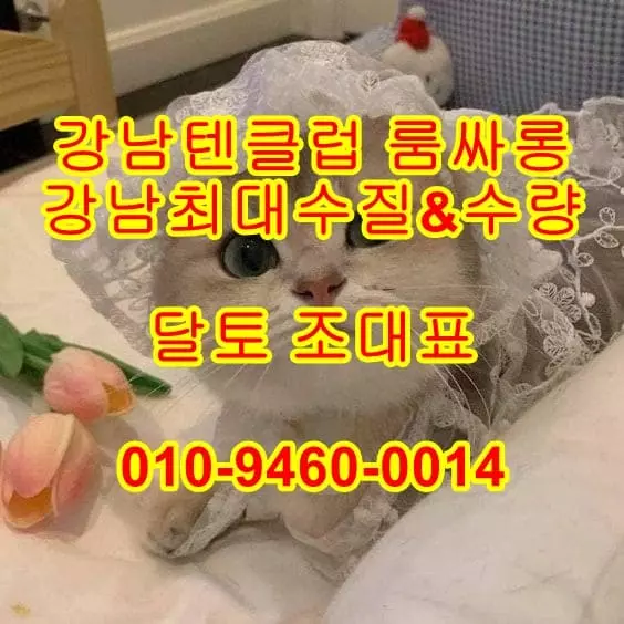 유앤미셔츠룸.webp