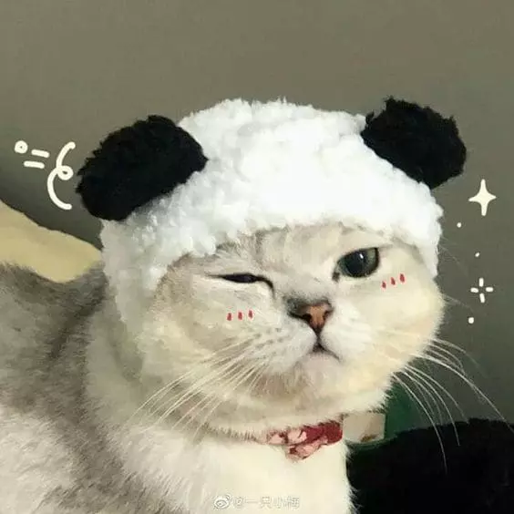 셔츠룸애프터.webp