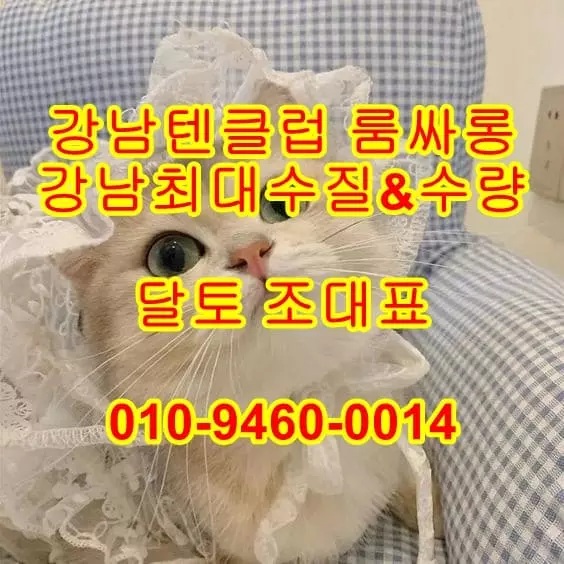 강남셔츠룸.webp