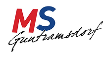 logo_msg_rand.png