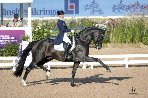 News Juni Dante Weltino Olympiade.jpg