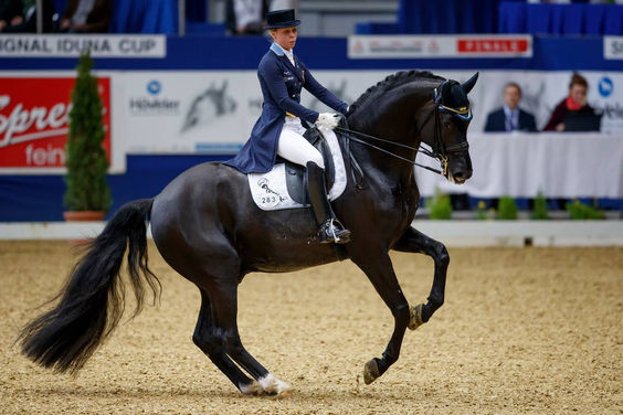 Dante Weltino 19.jpg