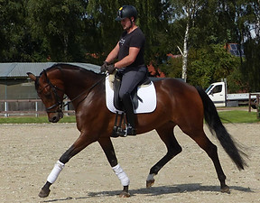 Susette R 1.jpg