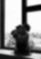 _V7A8291_edited.jpg