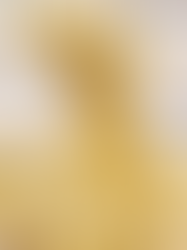 Pastabilities, Friendship, and the Power of Fettuccini Alfredo