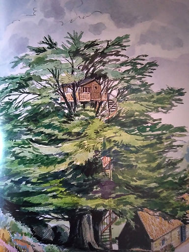 Cabane_Dessin2_Le Temps Des Arbres.jpg