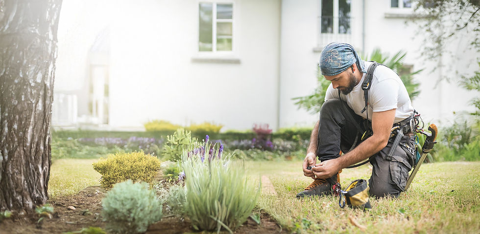 Le temps des arbres (7) a.jpg