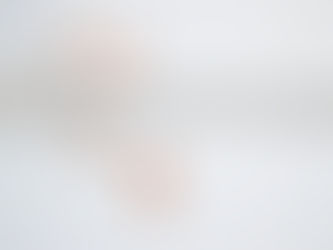 Mis peitub KAKS SENTI ehete idee taga?