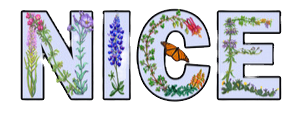 Approved-NICE-Logo-Blue-Franklin-Gothic-600ppi_edited_edited_edited.png