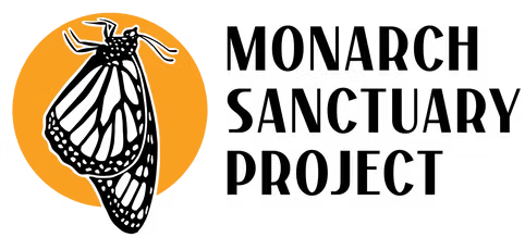 MSPlogoWide-min_edited.png