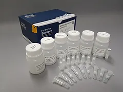 nucleic acid extraction addbio inc