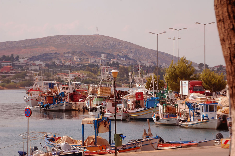 Φοιτητικά Δωμάτια Χαλκίδα