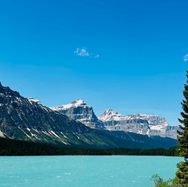 Alpine lake surrounded by mountains with a tree on the right