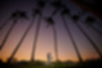 Finding a photographer for Costa Rica vow renewal