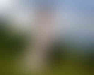 Best Casa Chameleon wedding photographer Costa Rica