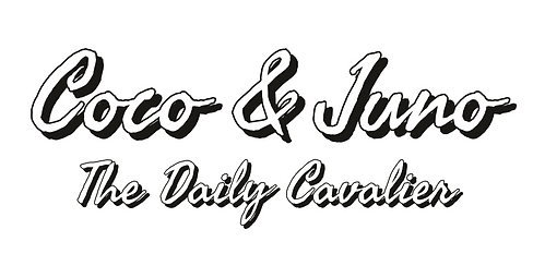 TheDailyCavalier font-1 (2).png