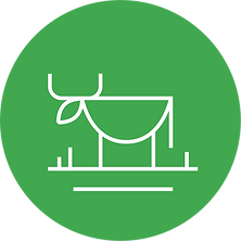 Icon_01.webp