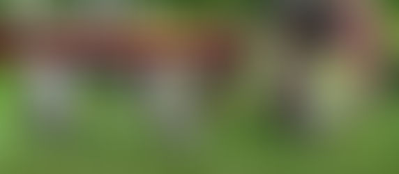 Balade du 22 mars 2026